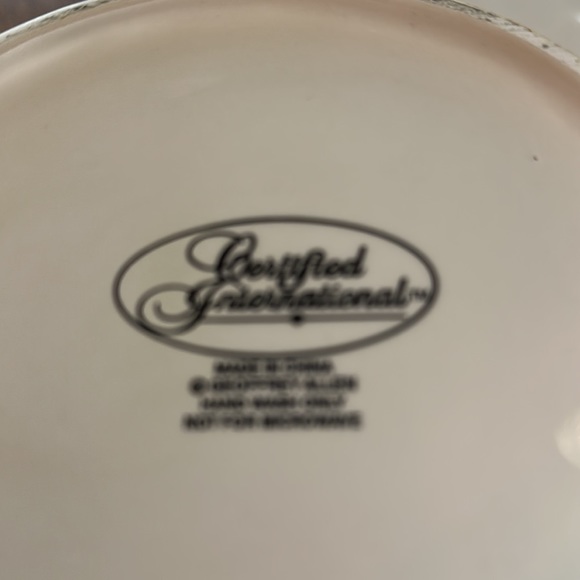 Certified International Plate & Pitch Set - Picture 6 of 6